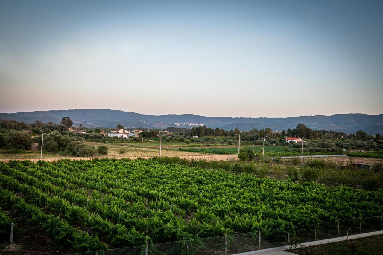 Готель Quinta Das Oliveiras Turismo Rural Фундан Екстер'єр фото